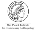 Max_Planck_Anthropology.png